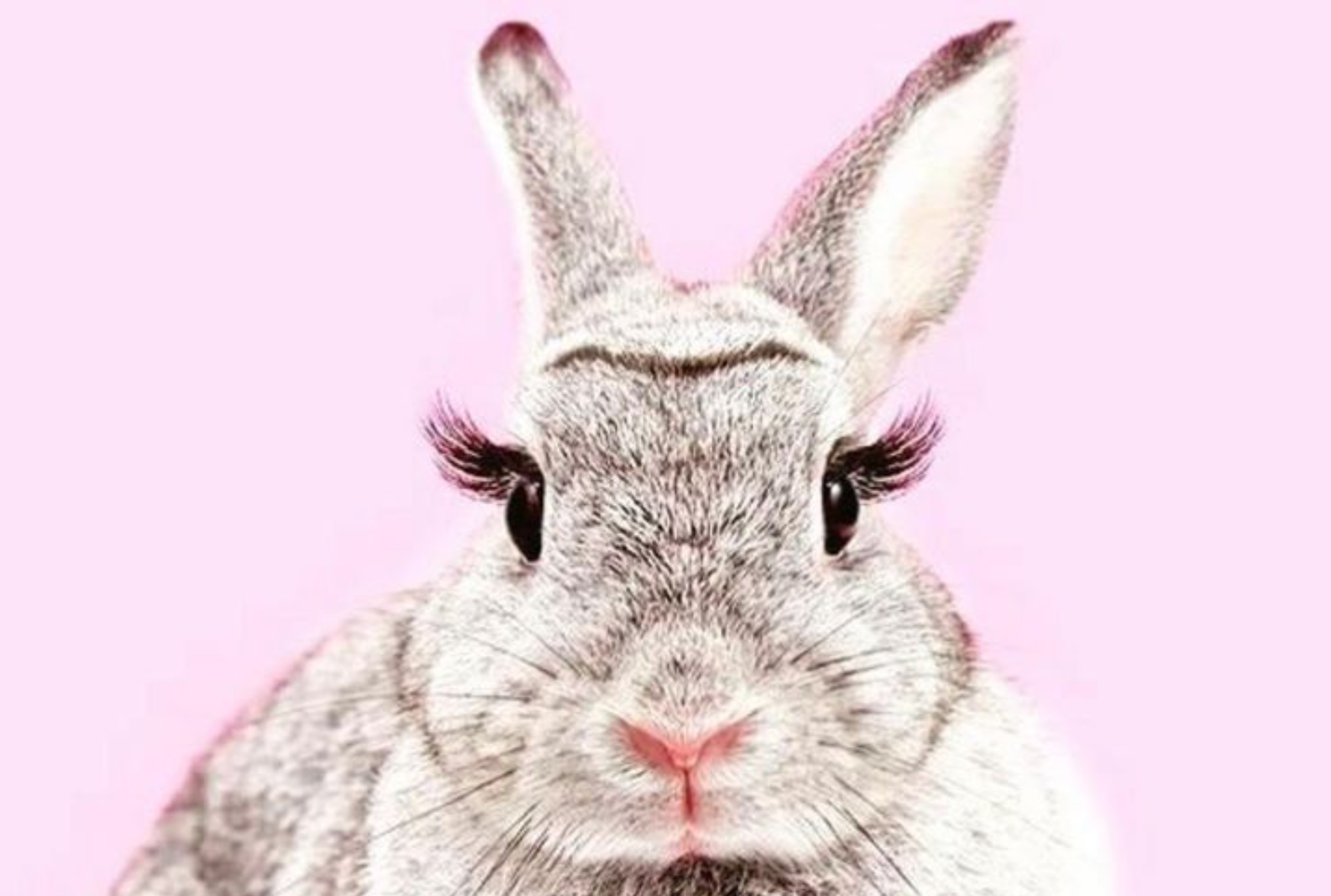 Wimpernserum - Was steckt dahinter?